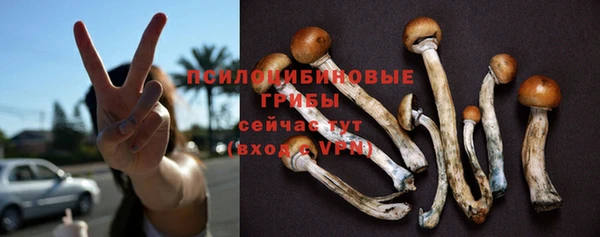 соль ск Алексеевка