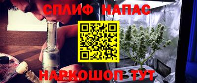 прущие грибы Рязань