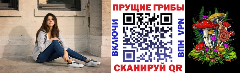 Псилоцибиновые грибы ЛСД  Анжеро-Судженск 