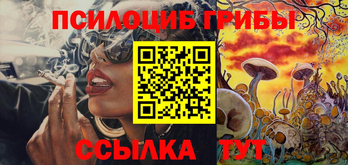 Псилоцибиновые грибы GOLDEN TEACHER Анжеро-Судженск