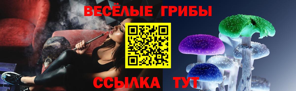 Галлюциногенные грибы Magic Shrooms  Вход с VPN  Анжеро-Судженск  Псилоцибиновые грибы мицелий 