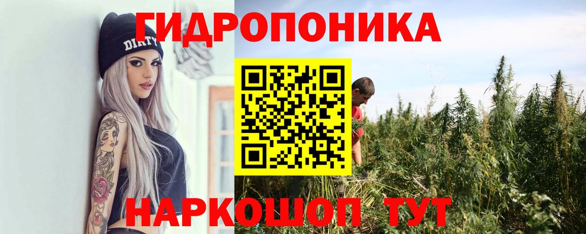 Анжеро-Судженск  Бошки марихуана AK-47  Вход с VPN  Бошки Шишки THC 21%  Бошки Шишки LSD WEED 